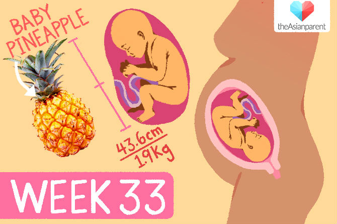 week by week pregnancy guide: week 33