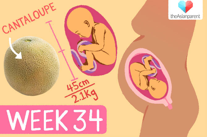 week by week pregnancy guide: week 34